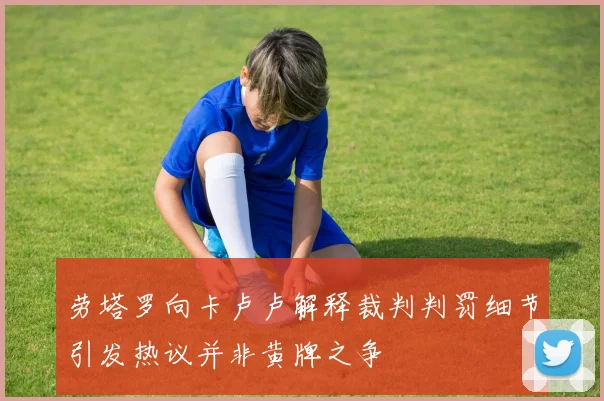 劳塔罗向卡卢卢解释裁判判罚细节引发热议并非黄牌之争