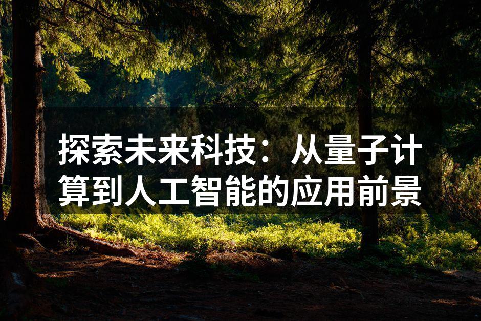 量子计算机示意图